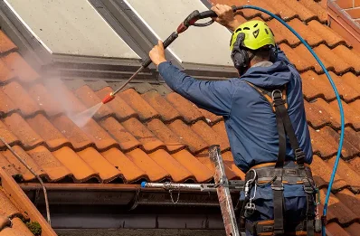 Démoussage et hydrofuge de toiture à Blasimon